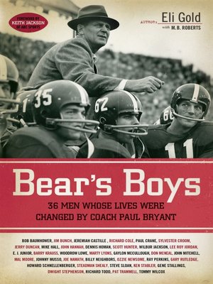 cover image of Bear's Boys